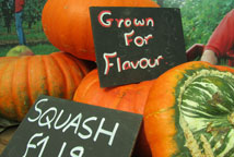 Find fruit and veg in Surrey
