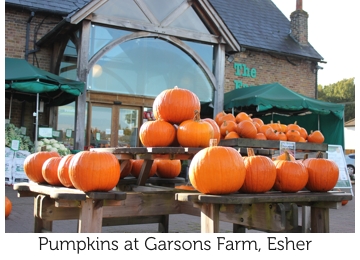 Pumpkins at Garsons Farm Shop, Esher | Local Food Britain