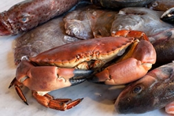 Williams and Bunkell Crab | Local Food Sussex