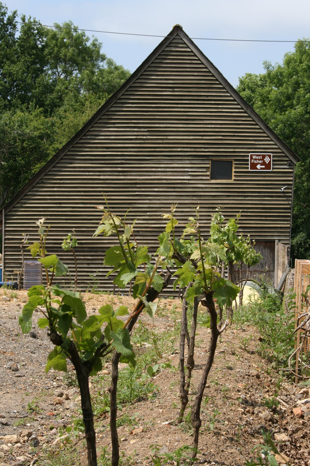 West Fisher Winery, Kent
