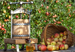 Local Surrey Ciders with Apples