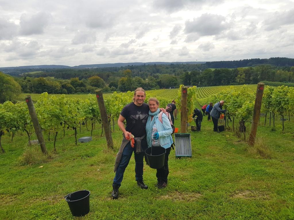 Local_Food_Britain_joins_Albury_Organic_Vineyard_for_their_2019_grape_harvest.jpg