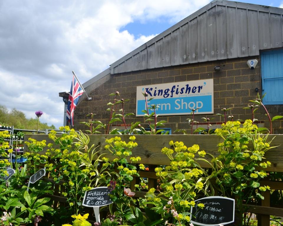 Kingfisher Farm Shop in Abinger Hammer in 