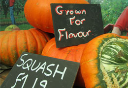Pumpkins grown by Sussex Food Producers