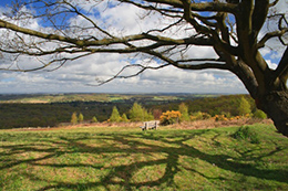 Crowborough's view of the Weald - Local Food Sussex