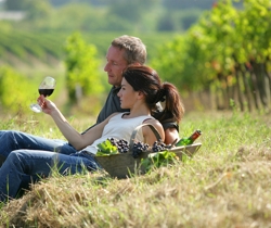 Couple in Hampshire vineyard enjoying Hampshire wine | Local Food Hampshire