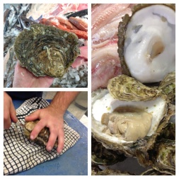 Fresh Oysters from Sussex