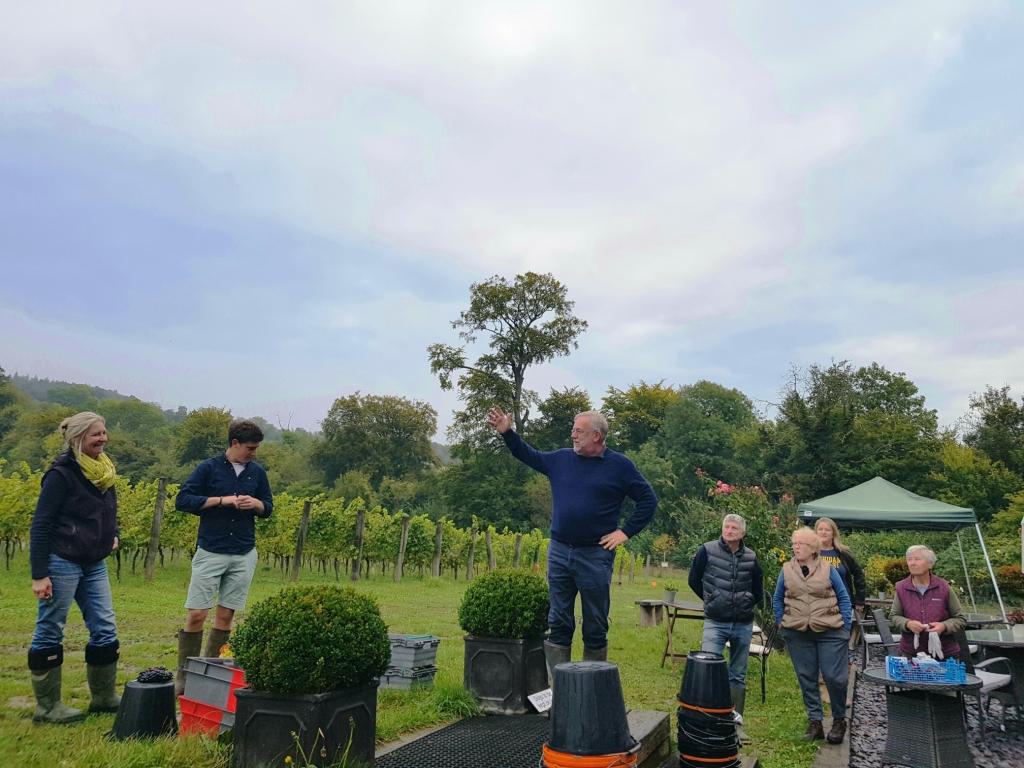 Local_Food_Britain_joins_Albury_Organic_Vineyard_for_their_2019_grape_harvest_4.jpg