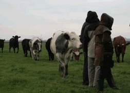 Organised Walks passed Three Harbours Beef Cattle, Local Food Sussex