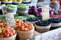 Find your Local Farmers Market in Sussex