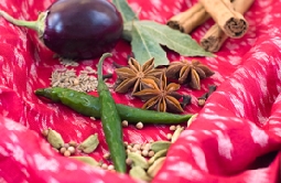 Children's Indian cookery course spices | Local Food Surrey