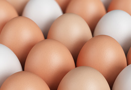 Free Range Eggs from Dorset Farms