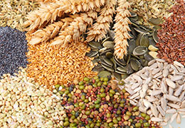 Local cereals, wheat, barley, maize and oats in Hampshire