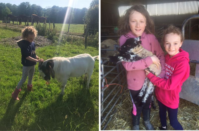 Lucy and Daisy with lamb and goat, South Brockwells Farm