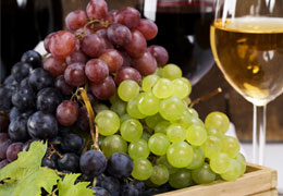 Organic English Wines with grapes harvested from London Vineyards