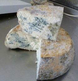 Norbury Blue cheese Surrey