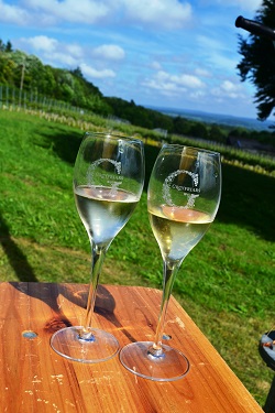 Greyfriars Vineyard sparkling wine, Surrey